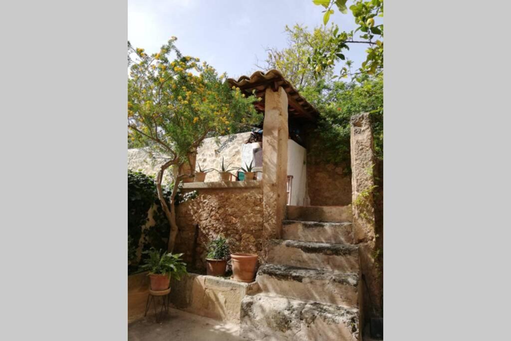 Villa Cas Potecari Porreras Exterior foto