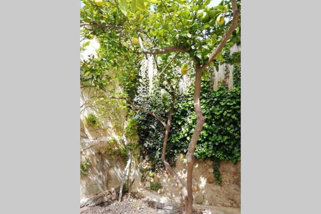 Villa Cas Potecari Porreras Exterior foto